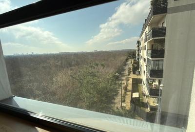 Apartament cu 3 camere, mobilat în Iancu Nicolae