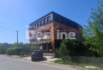 Casă individuală cu 4 camere cu Canalizare în Lunca Cetățuii - 1