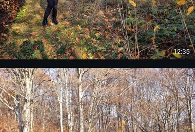 Spațiu comercial, în Catalina