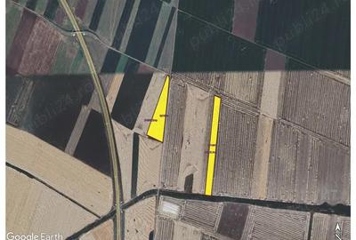 Teren agricol 5 Ha in Arad zona Sannicolau Mic, 12.000 Euro Ha - 3