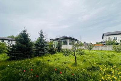 Vila multifuncionala de Mogosoaia Vila multifuncionala de Mogosoaia - 5