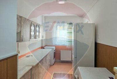 Apartament cu 2 camere confort 1 decomandat- Vitrometan - 6