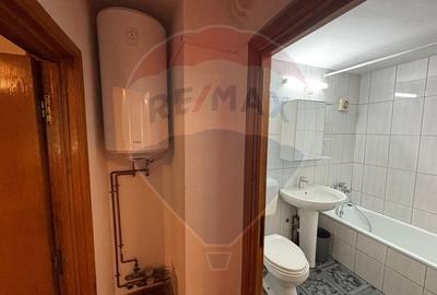 4 camere de vanzare TEIUL DOAMNEI zona verde-linistita, bloc anvelopat - 21