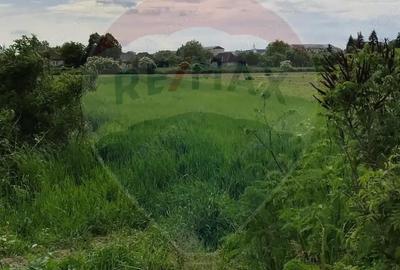 Teren intravilan Ulmeni ! - 2