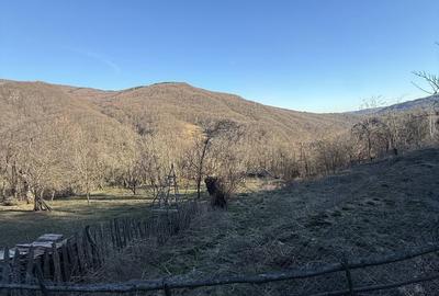 Teren de 1780 mp, în Valea Doftanei - 6