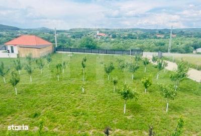 Casă cu 6 camere cu Teren 10000 Mp în Central - 16