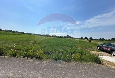 PARCELE TEREN - de vanzare - in CHECHIS - 3