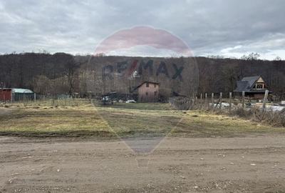Teren Construcții intravilan de 999 mp, în Florești - 13