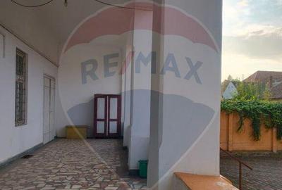 Casa istorica in zona centrala Ludus- Mures - 13
