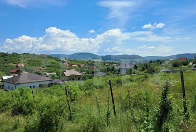 Teren de 1200 mp, în Central