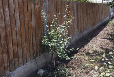 Casa de vanzare 1120mp,Glodeanu Sarat Buzau - 5