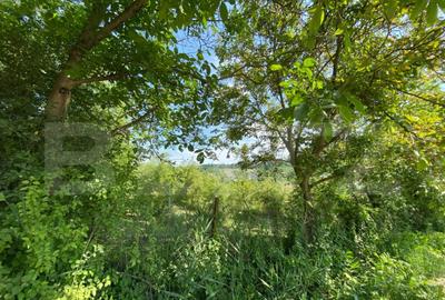 Teren de 3000 mp, în Central