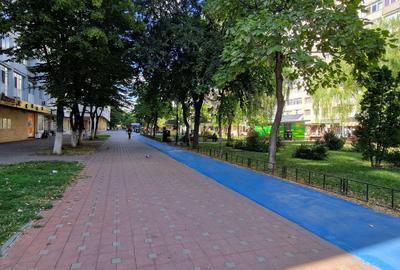 Apartament in parcul voievozilor!  Ideal pentru o familie - 13
