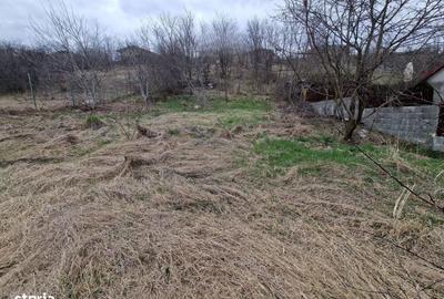 Spațiu comercial, în Dezmir - 5