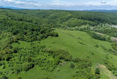Teren agricol extravilan de 500 mp, în Bradu - 4