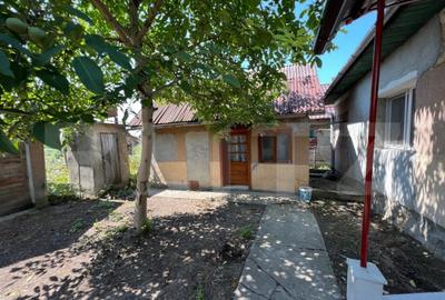 Casa in Pomi cu acoperis nou, Jud. Satu Mare - 4