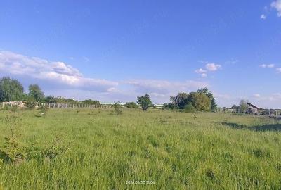 Teren de 8500 mp, în Freidorf