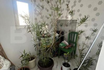 Casă cu 2 camere în Jelna - 4