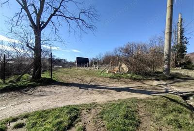 Teren de 2500 mp, în Vest - 6