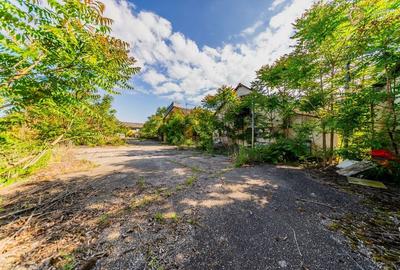 Cladire industriala de vanzare cu potential 3,5 ha in Batania - 29