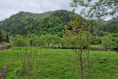 Teren intravilan - Rucar - Satic - 1775 mp - la strada principala - deschidere - 2