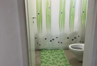 Apartament cu 2 camere decomandat în Dumbrăvița - 3