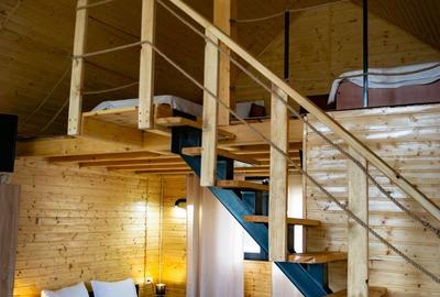 Casă cu 2 camere cu Teren 4300 Mp în Valea Brazilor - 5