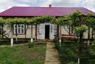 Casa batraneasca cu anexe si teren Loturi Enescu Dorohoi - 2