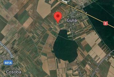 Spațiu comercial, în Gulia - 6