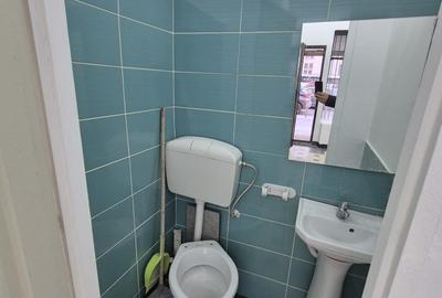 Vanzare spatiu comercial zona Piata Unirii/Splaiul Independentei - 6