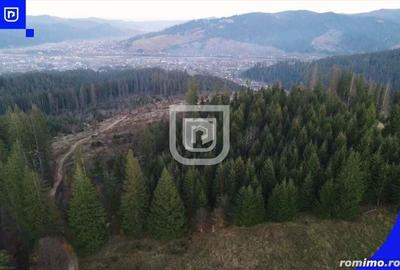 Teren situat in Frasin | BUCOVINA - 1