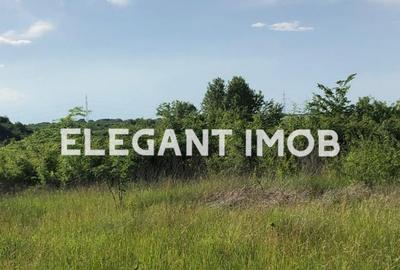 Teren de 609 mp, în Tamași