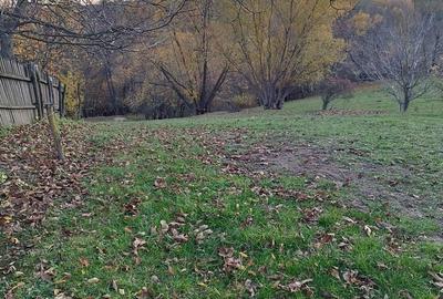 Teren de 2200 mp, în Frumosu - 1