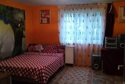 Casă cu 2 camere în Șilea - 6