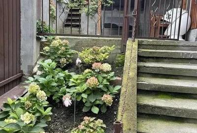 Ultracentral - Vanzare casa - Str. Avram Iancu - 8