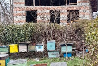 Casă cu 5 camere în Corbșori - 2