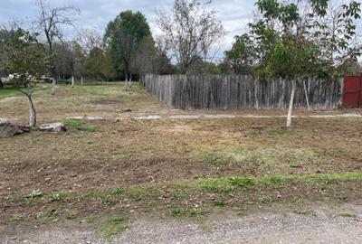 Spațiu comercial, în Almaș - 1