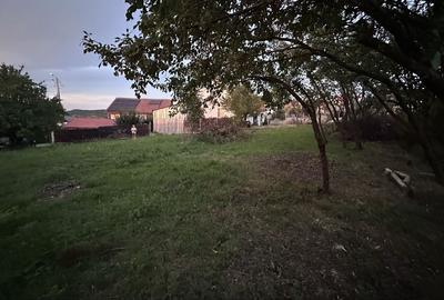 Spațiu comercial, în Central - 1