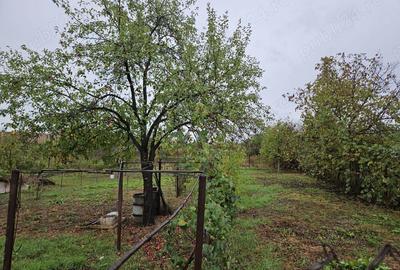 Casa care necesita renovare intr-o loca?ie lini?tita ?i insorita in Faget, Timi? - Comision 0 - 3