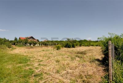 RECO Teren intravilan 1200 mp- front 30ml ,cu utilitati, Pa - 11