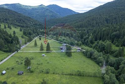 Proprietate specială, de 680 mp, în Coșnea - 2