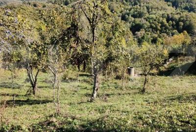 Teren de 2406 mp, în Central - 13