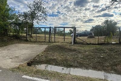 Teren de 1190 mp, în Soceni - 3