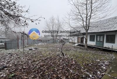 Casa si teren 3054 mp - Negresti - 11