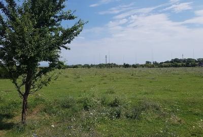 Teren agricol intravilan, Cristian ! - 5