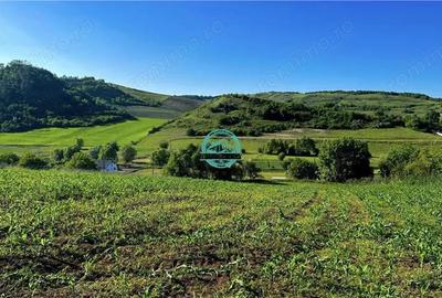 Vand teren intravilan in Sanisor cu suprafata de 4946 mp - 1