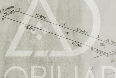 Teren intravilan de 1160 mp, în Curtișoara - 4