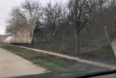 Teren de 3478 mp, în Viișoara - 6