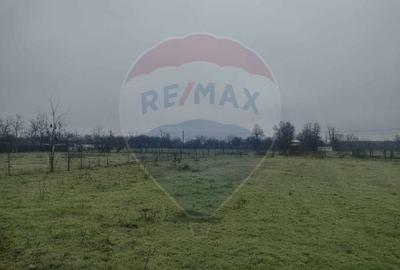 Teren agricol intravilan de 2205 mp, în Cocora - 4