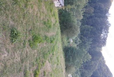 Teren de 9800 mp, în Pietrari - 5